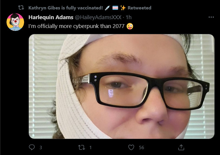 Screenshot_2021-05-19 Tweets with replies by Kathryn Gibes is fully vaccinated 💉 🏳️‍⚧️ ✨ ( Tra...png