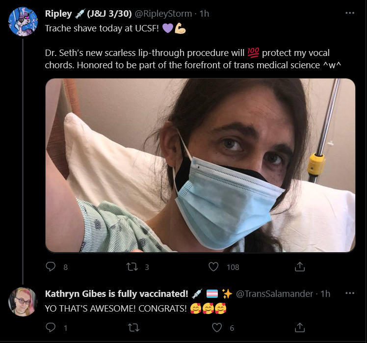 Screenshot_2021-05-26 Tweets with replies by Kathryn Gibes is fully vaccinated 💉 🏳️‍⚧️ ✨ ( Tra...png