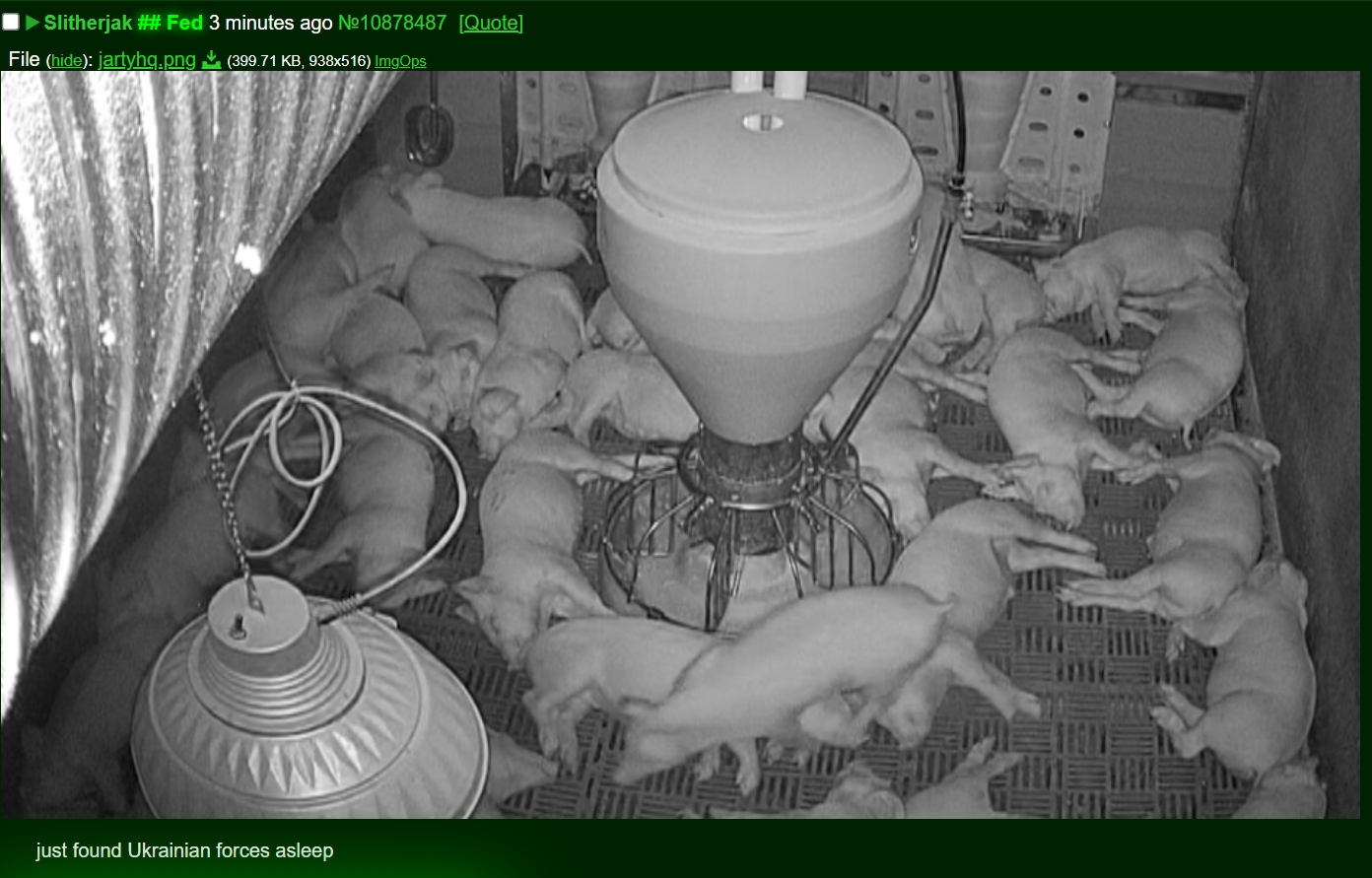 Screenshot_27-4-2025_112336_www.soyjak.st.webp