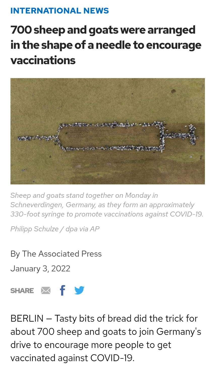 Screenshots_2022-02-07-08-21-43.png