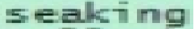 seaking3.png