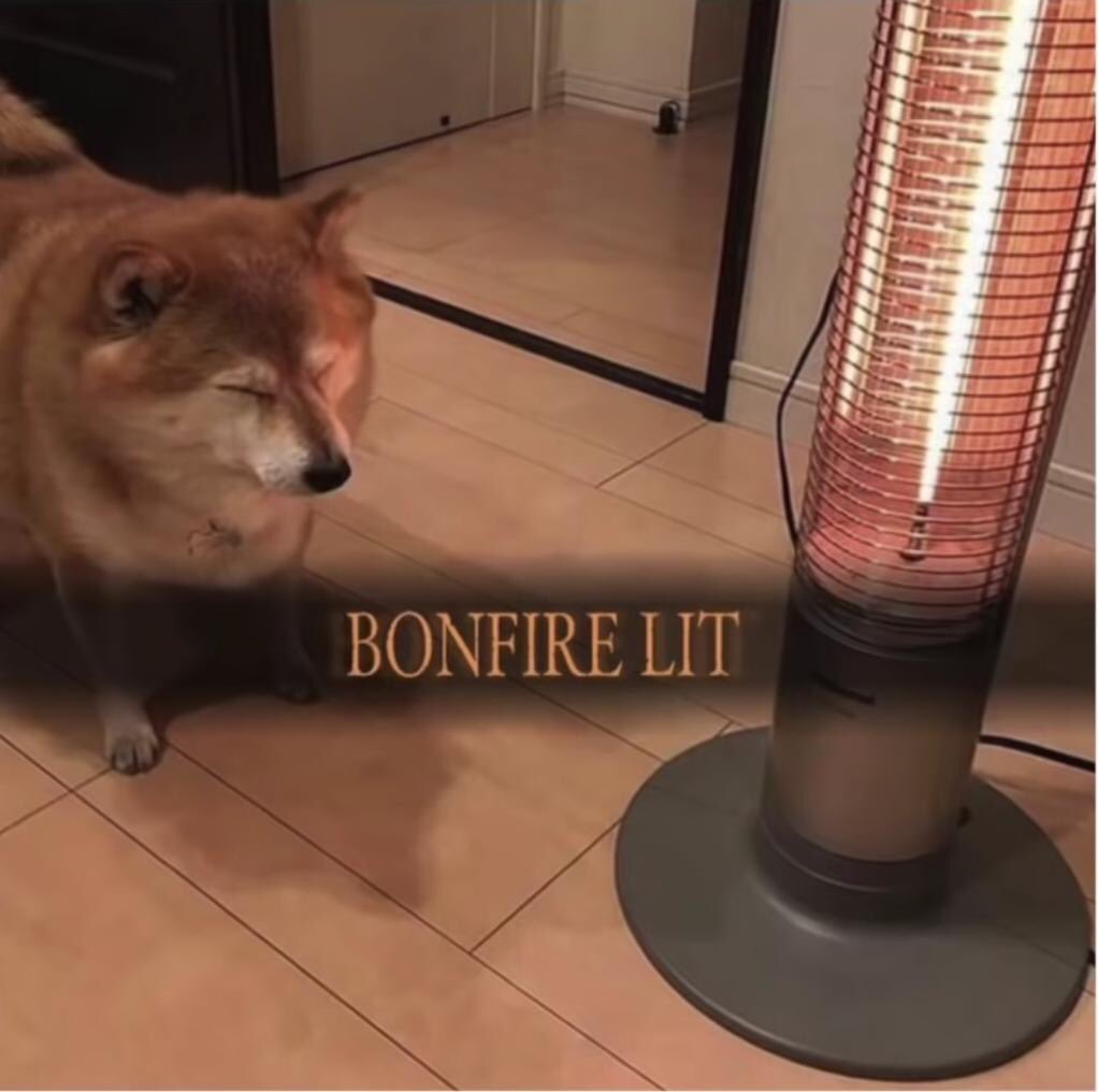 shiba_save.jpeg
