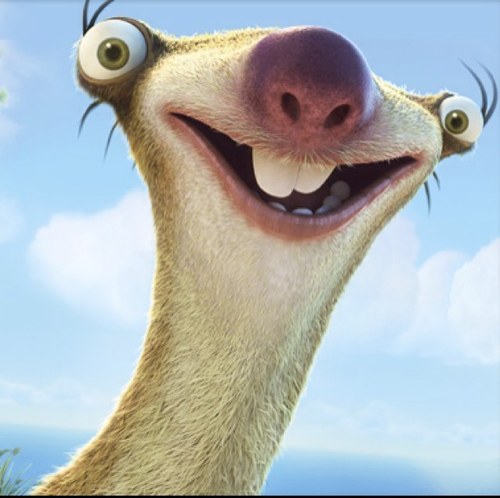 sid the sloth.jpeg