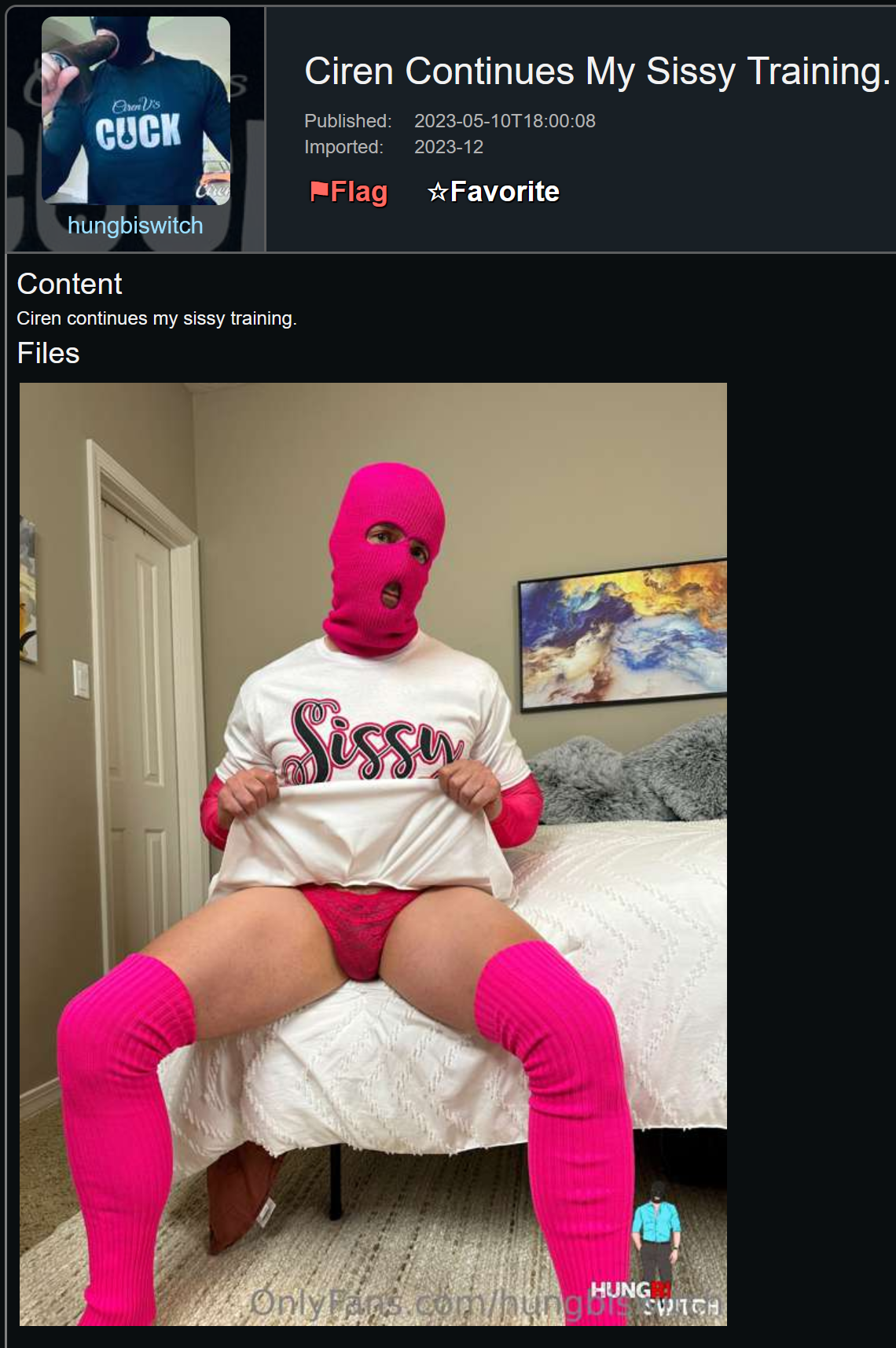 sissy training.webp