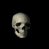Skull-10-june.gif
