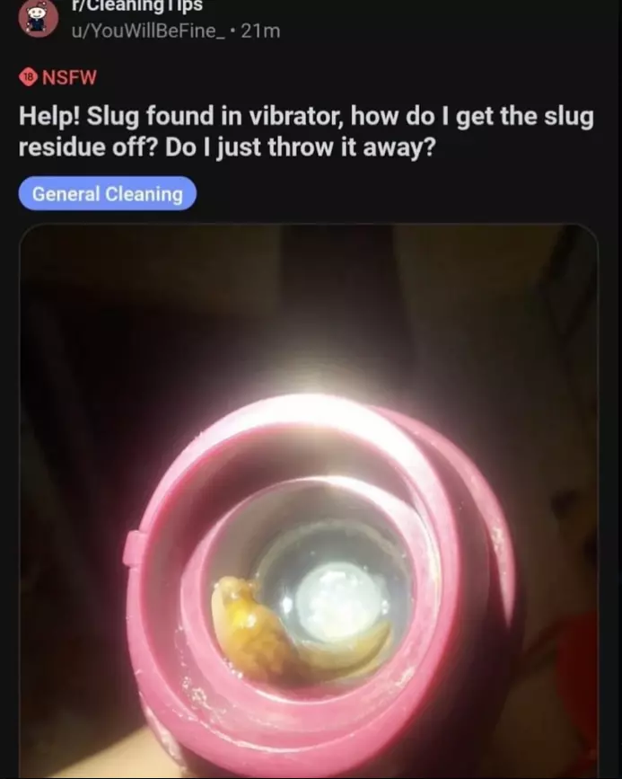 Slugvibrator.webp