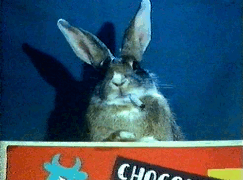 smokingrabbit.gif