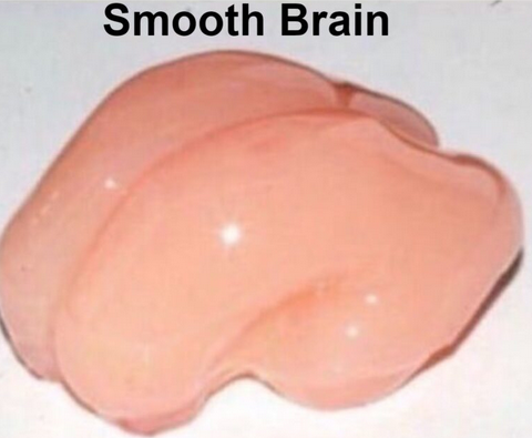 smooth brain.png