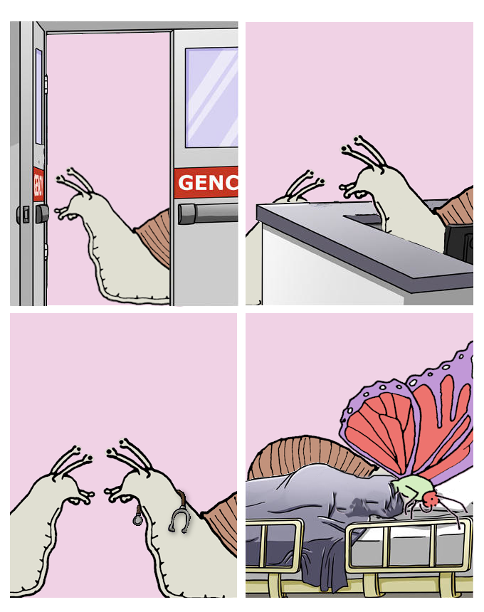 Snailloss.webp