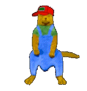 sneedcat.gif