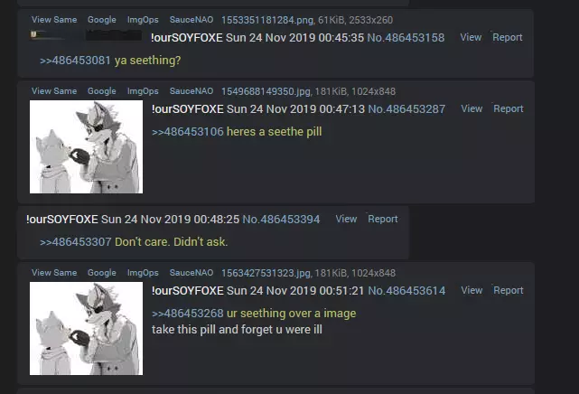 soyfoxe1.webp
