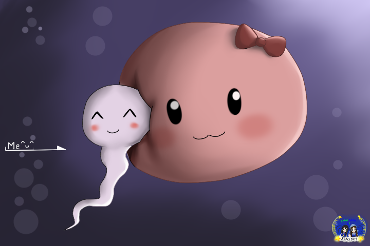 sperm_and_egg__how_i_become_me_by_rjace1014-d5atupm.png