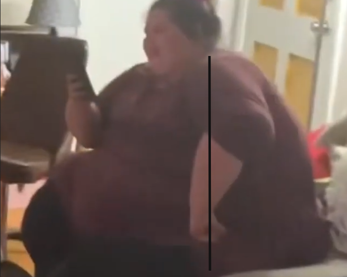 SPINE.png