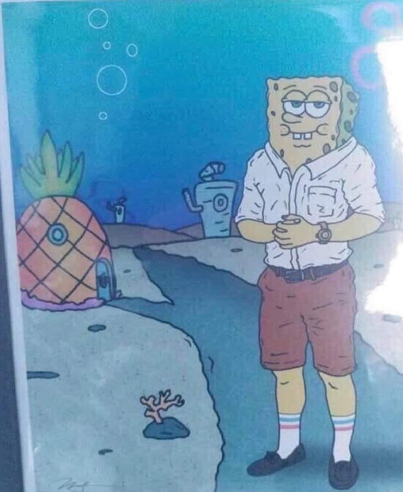 sponge.png