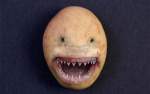 SPud1.jpeg