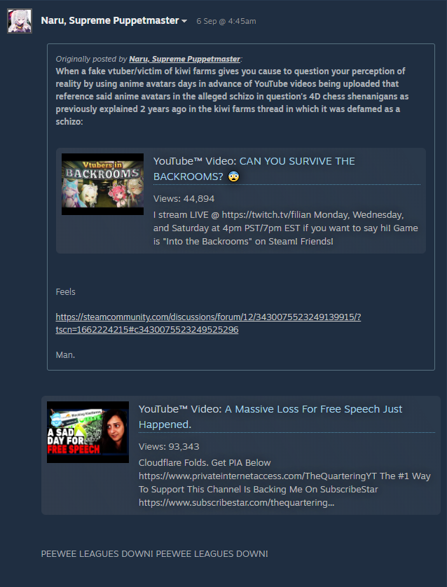 steam_SjeEKXDNIv.png