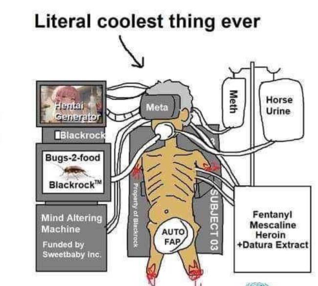 stimpfap.jpeg