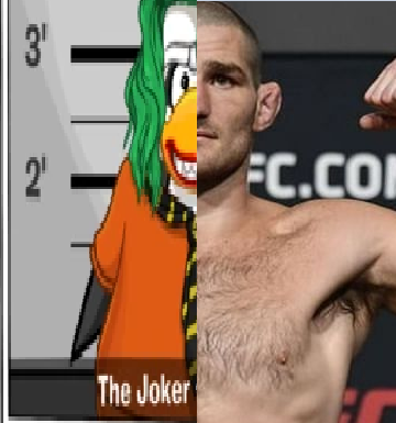 strick.png