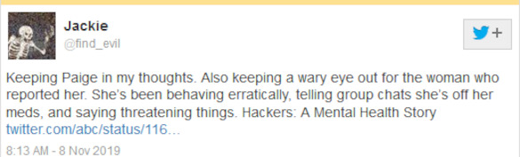 supports_paige_capitalonehacker.jpg