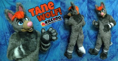 tane_fursuit.jpg