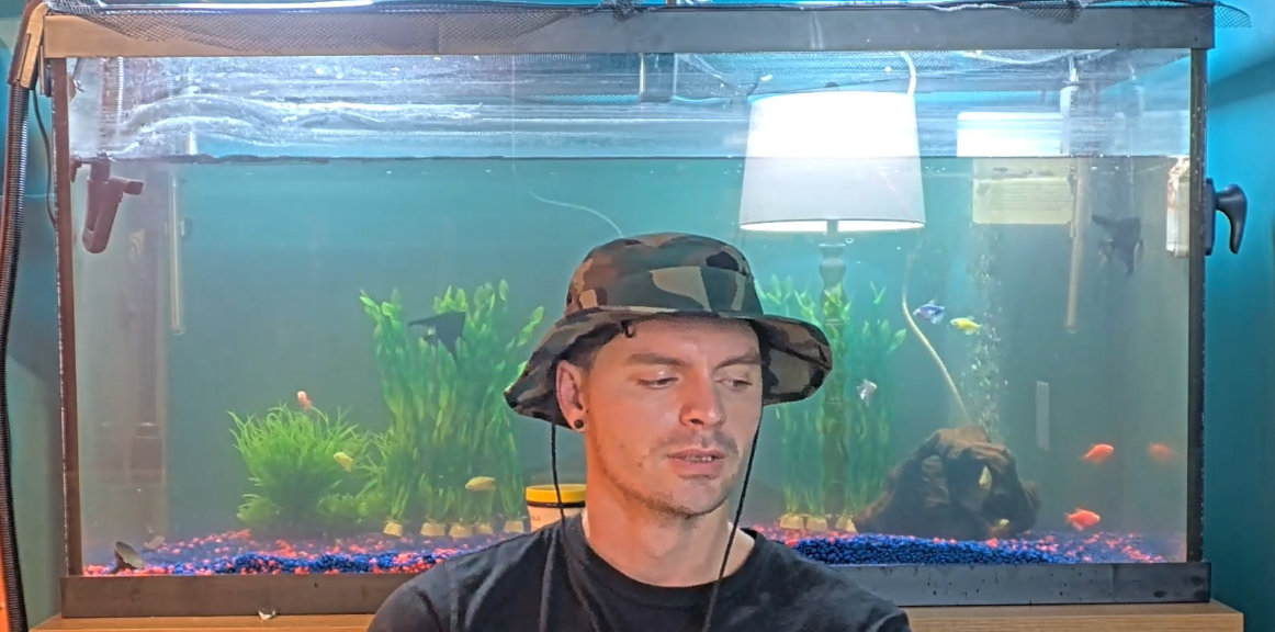 tank.PNG