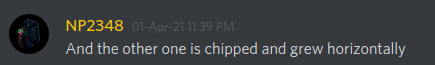 teef5.png