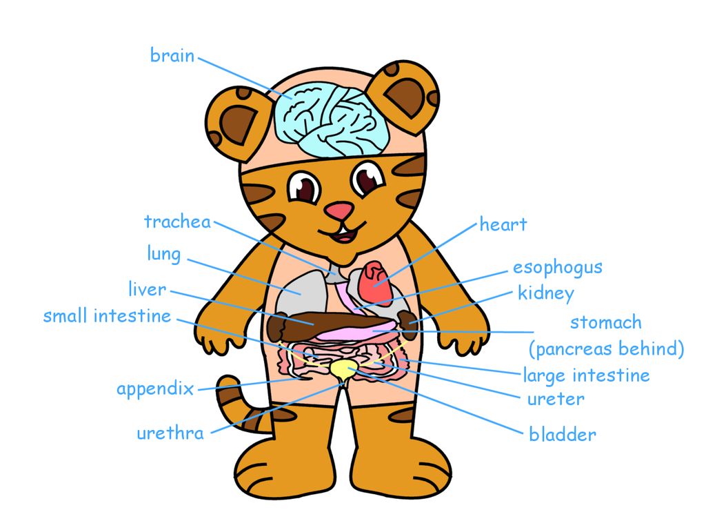 temp.png