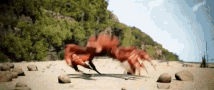 tenor (4).gif