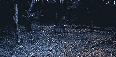 terrifica.gif