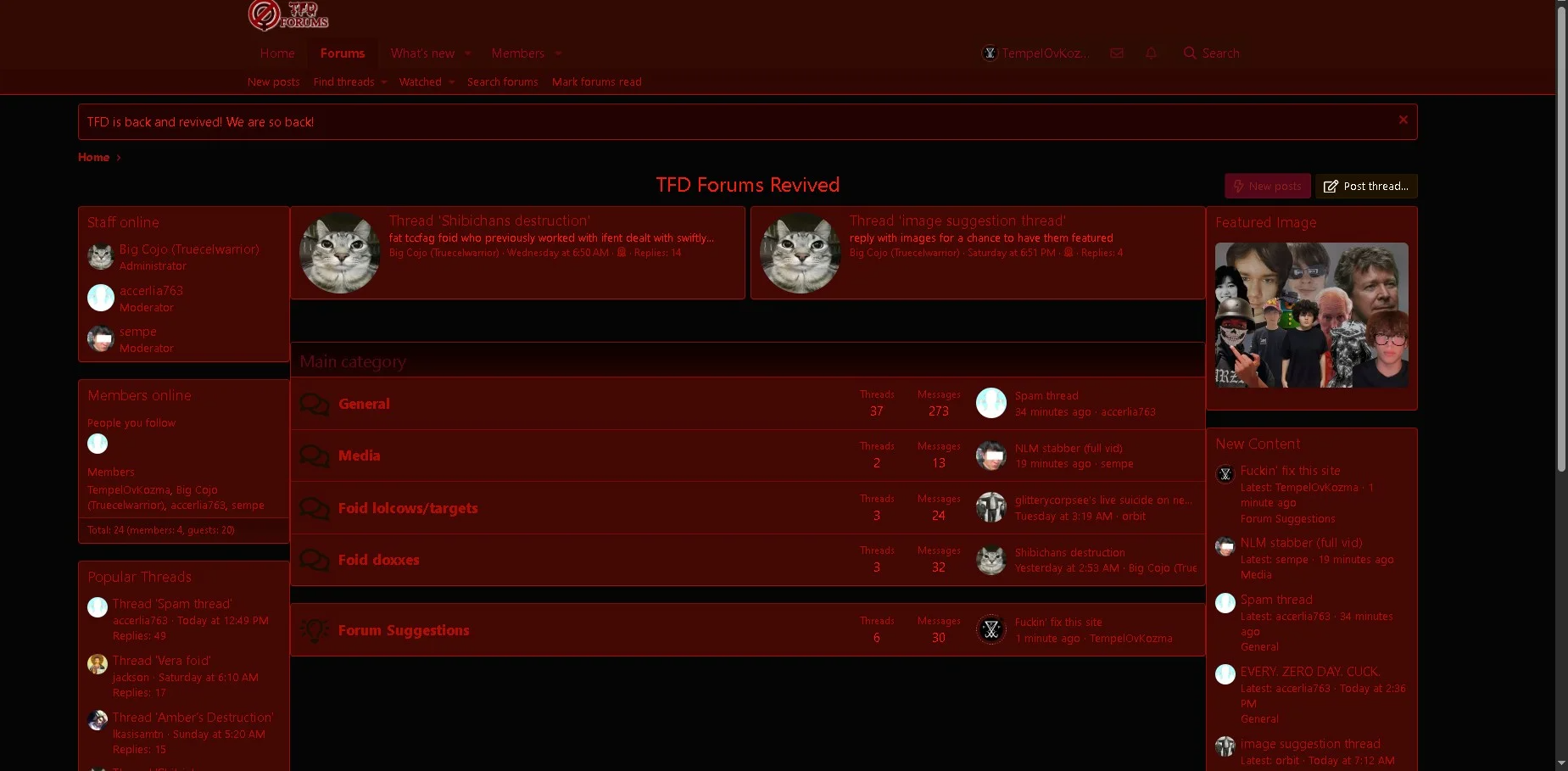 tfdst.png