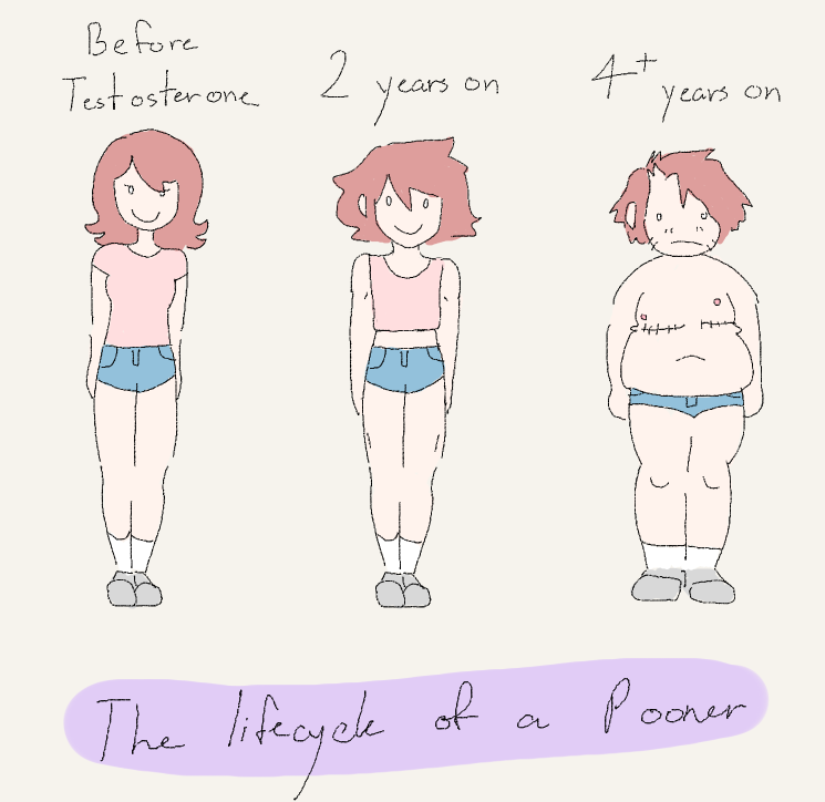the cycle.png