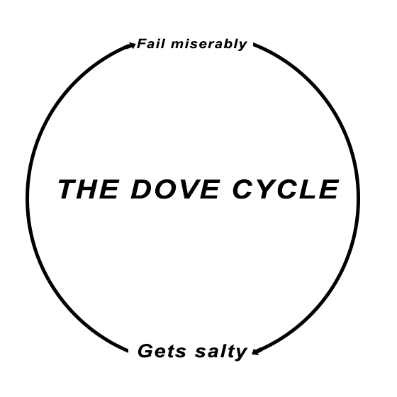 The dov cycle.jpg