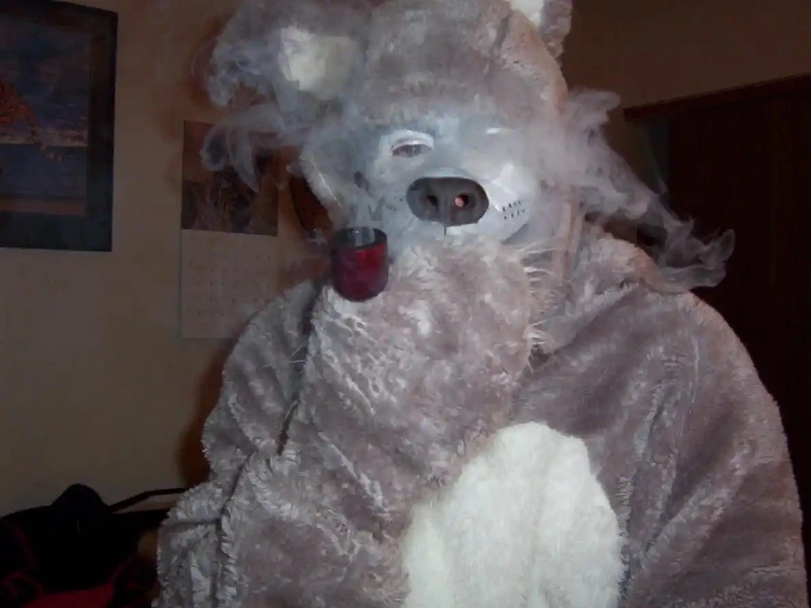 Tiger_husky11 Large.webp