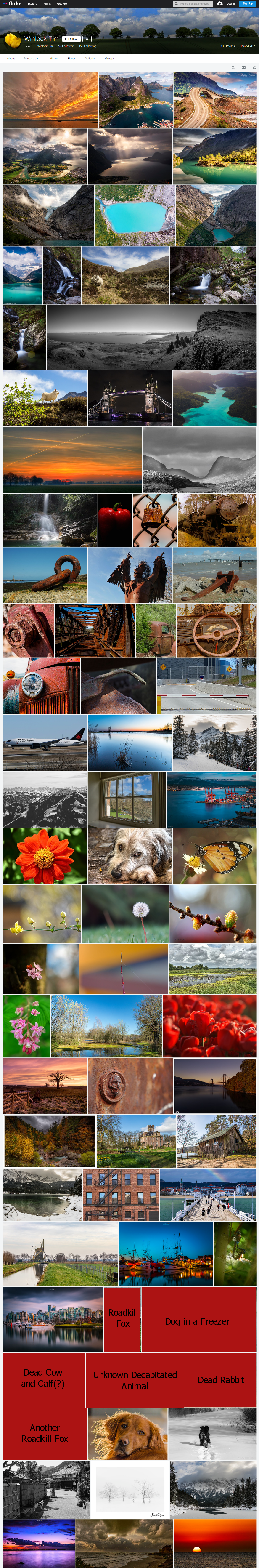 Tim Amoroso - Flickr Example.png