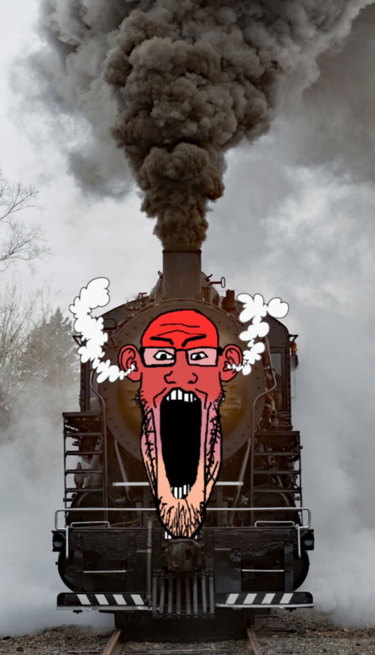 train calm soyjak angry.jpg