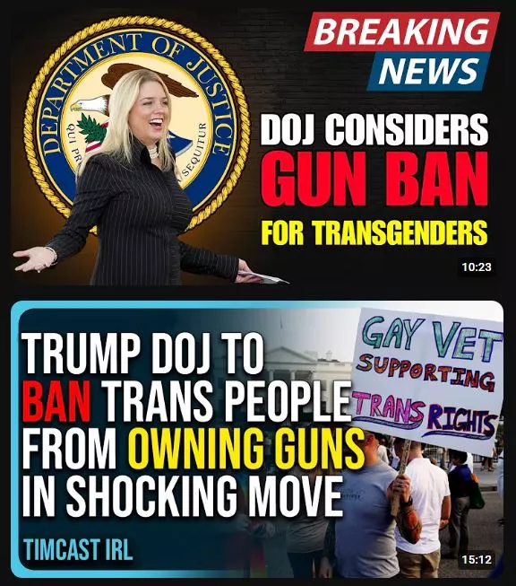 tranny banny 2.webp