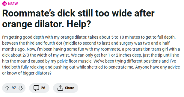 transbian-problems.png