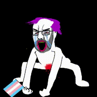 transbtfo.gif