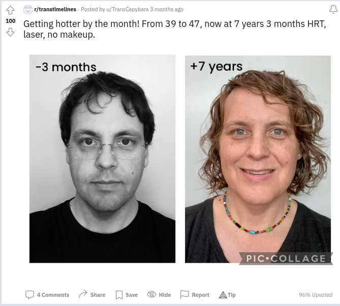 transcapybara.png
