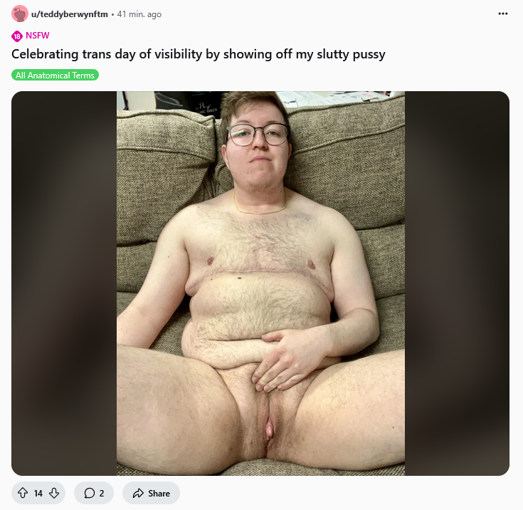 transday.png