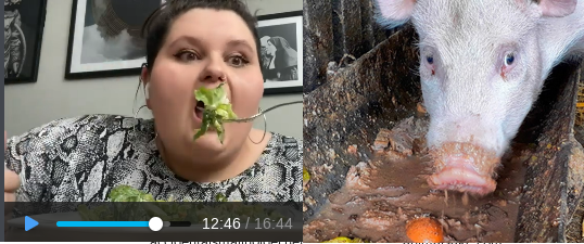 trough.png