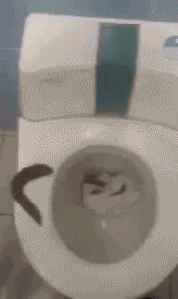 turlet.gif