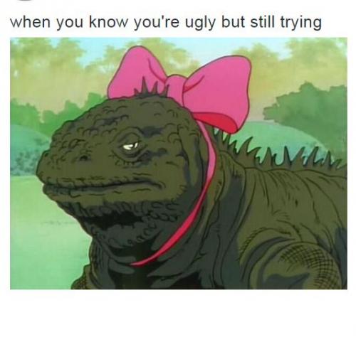 ugly but still trying.jpg