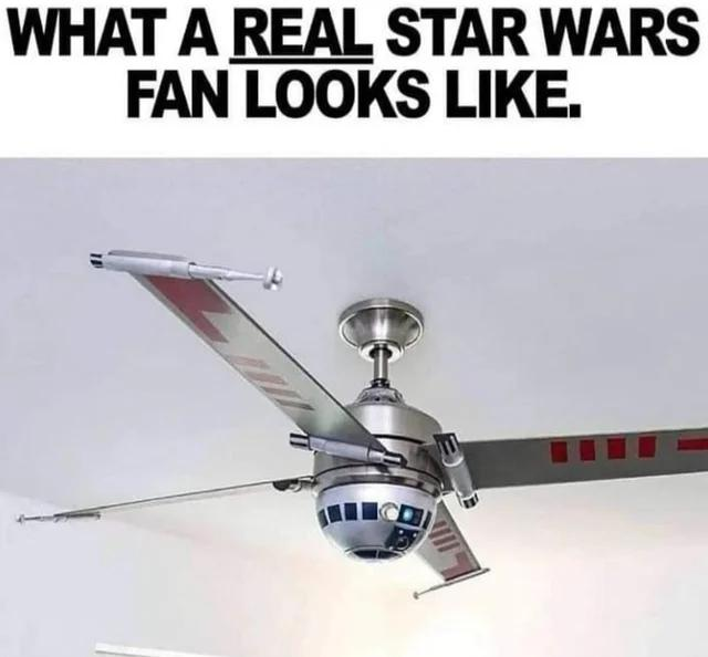 unknown.png