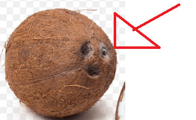 Untitled.png