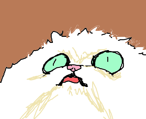 Untitled.png