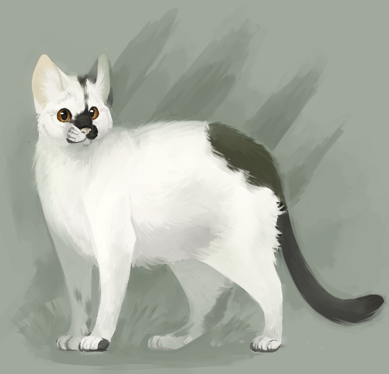 upload_2019-1-12_17-42-10.png