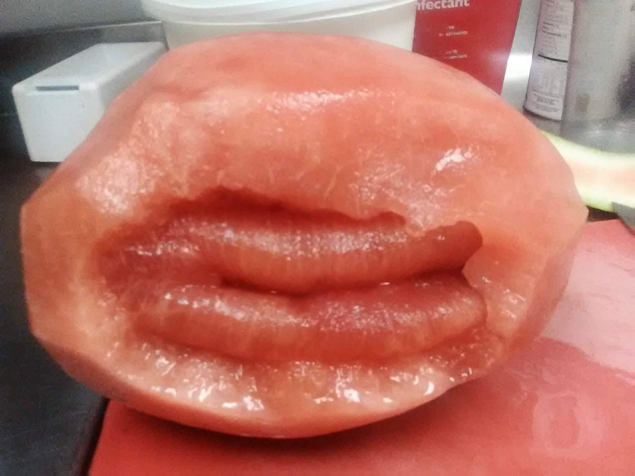vagmelon.jpeg