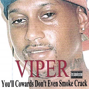 viper_crack.jpeg