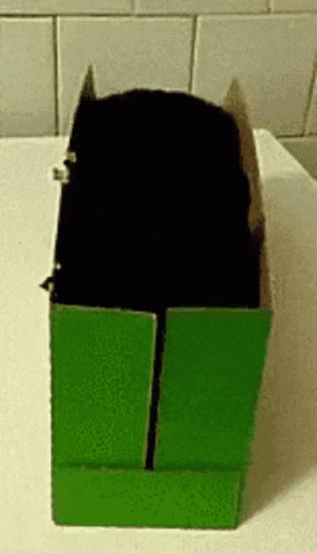 void box.gif